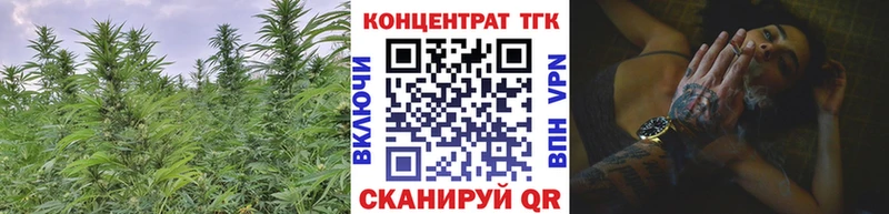 ТГК THC oil  Короча 